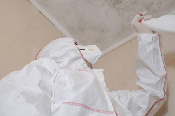 Royal Oak, MI Mold Remediation Company